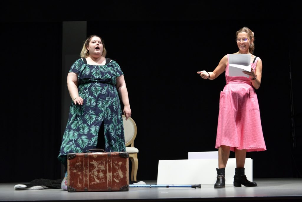 Comédiennes et comédiens Strapontins