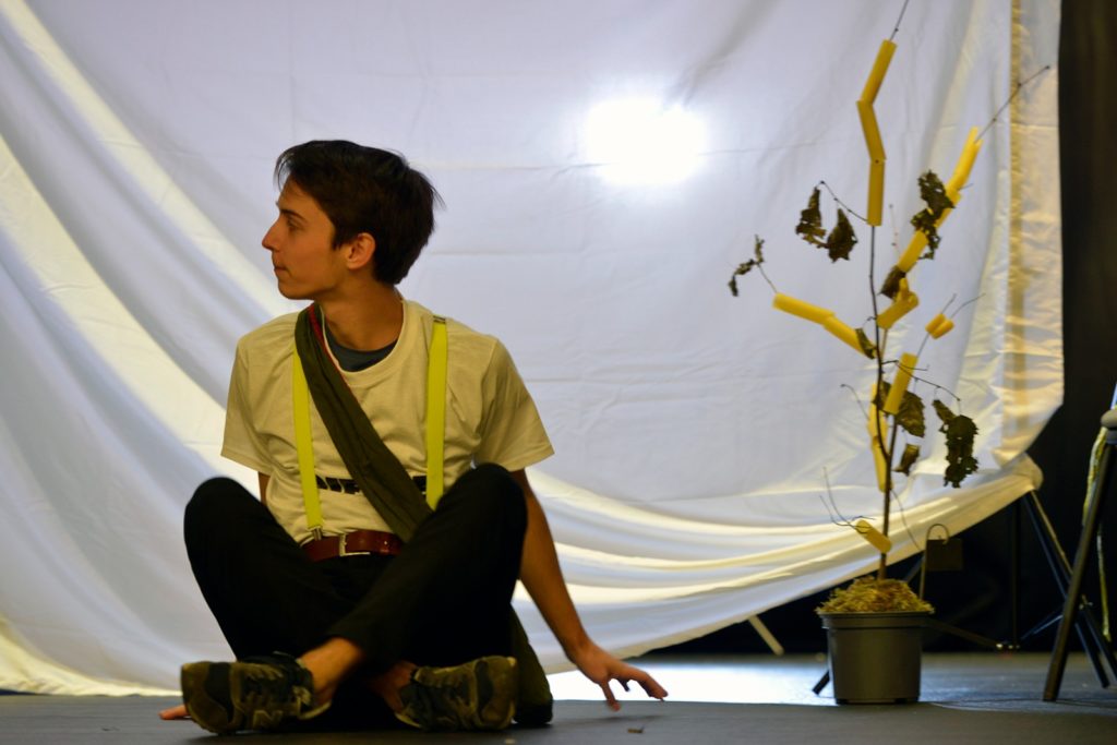 Comédiens Strapontins